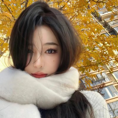 哈利波特：凤凰会的密令